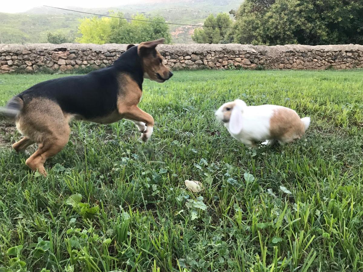 Ca L'Esquelleta Casa Rural By El Secret De La Conca Villa Vilaverd Bagian luar foto